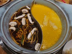 -青瓷火锅料理(西单大悦城店)