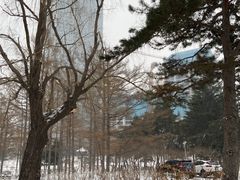 -牡丹园