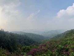 -广州市白云山风景名胜区