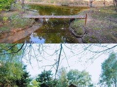 -沈阳鸟岛