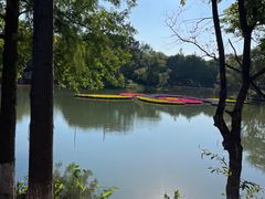 -西溪国家湿地公园