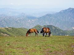 -灵山
