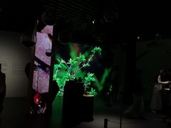 -中国湿地博物馆