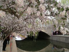 -海棠花溪(元大都城垣遗址公园)