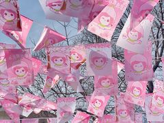-顾村公园