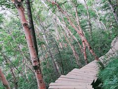 -白草畔自然风景区