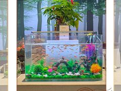 -合和大唐足道·泰式·SPA (凤城五路店)