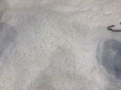 -Mr·Kuma酷么先生雪之乐园