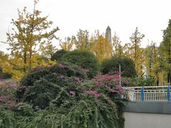 -百林公园-两江幸福广场