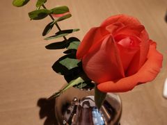 -佐度王子扒房(爱建卓展店)