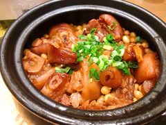黄焖猪蹄-陶德砂锅(蜀汉路店)