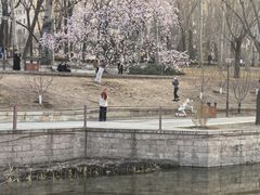-元大都城垣遗址公园
