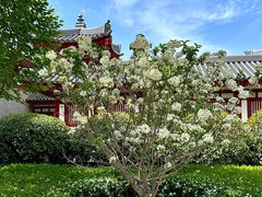 -大慈恩寺(大雁塔)