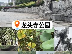 -龙头寺公园