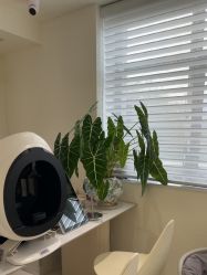 -安那般那皮肤年轻化ANAPANA