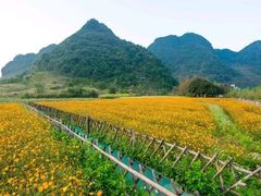 -靖西鹅泉风景区