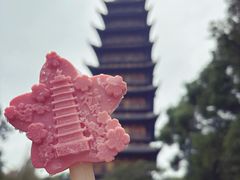 -常熟方塔园