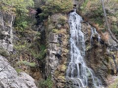 -云岫谷游猎自然风景区