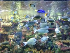 -乌鲁木齐海洋馆