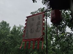 -合肥滨湖国家森林公园