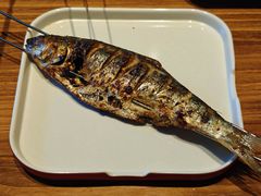 气泡鱼-熙成烧烤(白塔岭店)