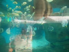 景点-波塞冬旅游度假区