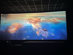 -AMG海上明珠影城(上海环球港RealDCinema店)