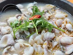 -大鼎石锅鱼(春江里店)