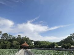 -南国桃园旅游度假区