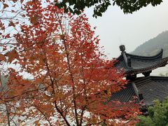 -孙武文化园-停车场