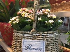 -双季花艺园艺市场(浦东店)