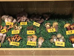 大堂-菌海森林·非遗野生菌火锅(西山区滇池路摩根道店)