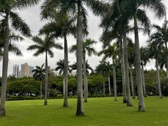 -白鹭洲公园