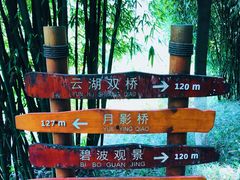 -重庆彩云湖湿地公园