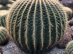 -南通洲际绿博园