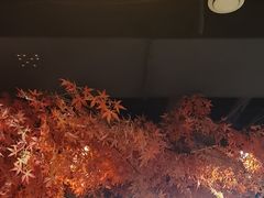 -花间别院(凤凰店)