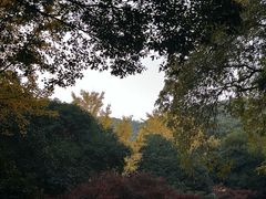 -岳麓山风景名胜区