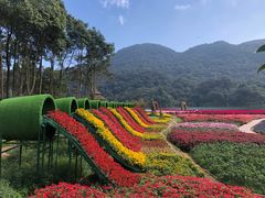 -广州市石门国家森林公园