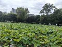 -时间仓(月湖公园店)