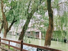 -乌镇东栅景区