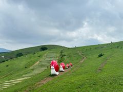 -大姆山草场