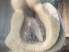 -杭州第一世界大酒店·云曼温泉