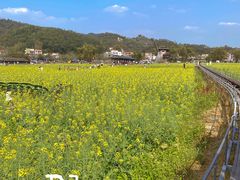 -红山村