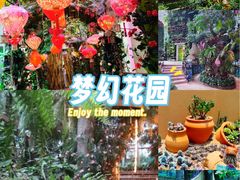 -正佳雨林生态植物园