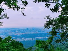 -紫金山山顶公园