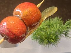 -四季民福烤鸭店(外滩外白渡桥店)