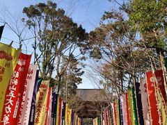 -醍醐寺