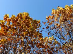 -回龙观体育文化公园