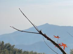 -径山寺