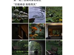 -西湖文化广场